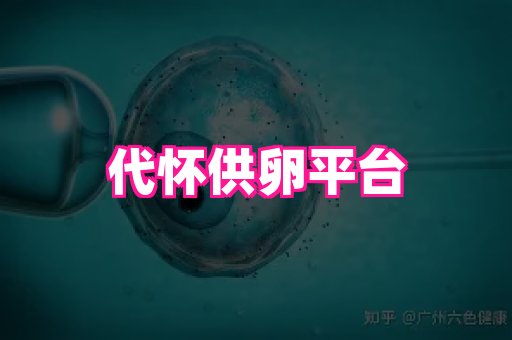 nub孕网 2